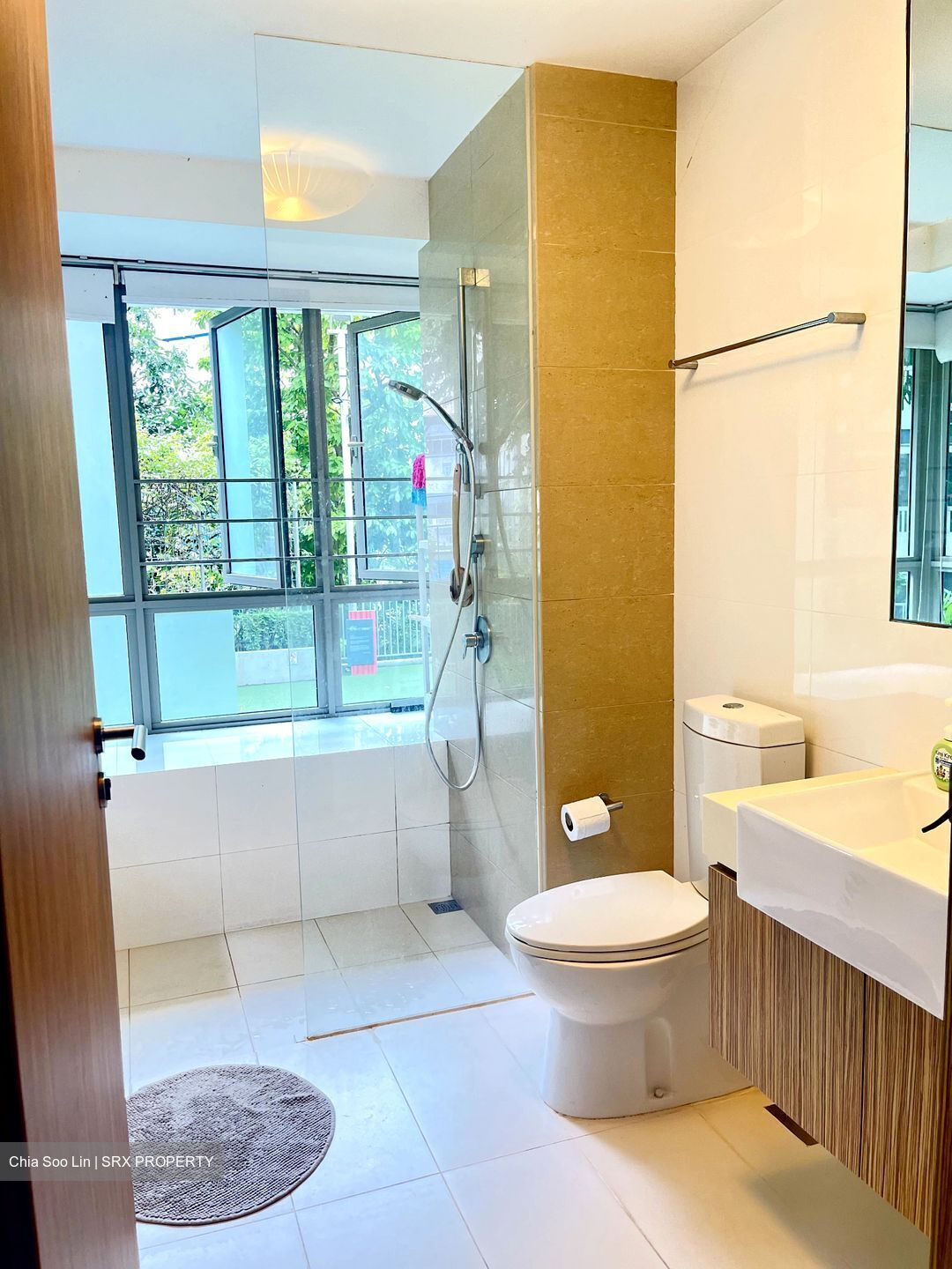 Trevista (D12), Condominium #519726661